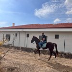 Talip1608